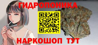 крисы Кунгур