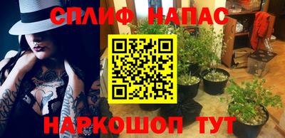 крисы Кунгур