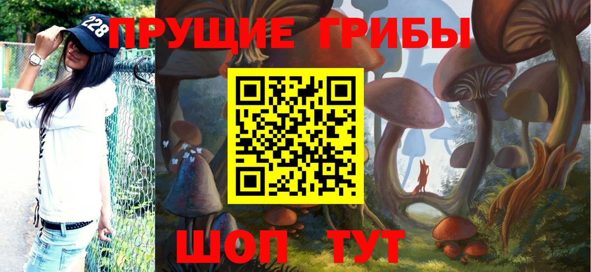 Псилоцибиновые грибы прущие грибы Казань